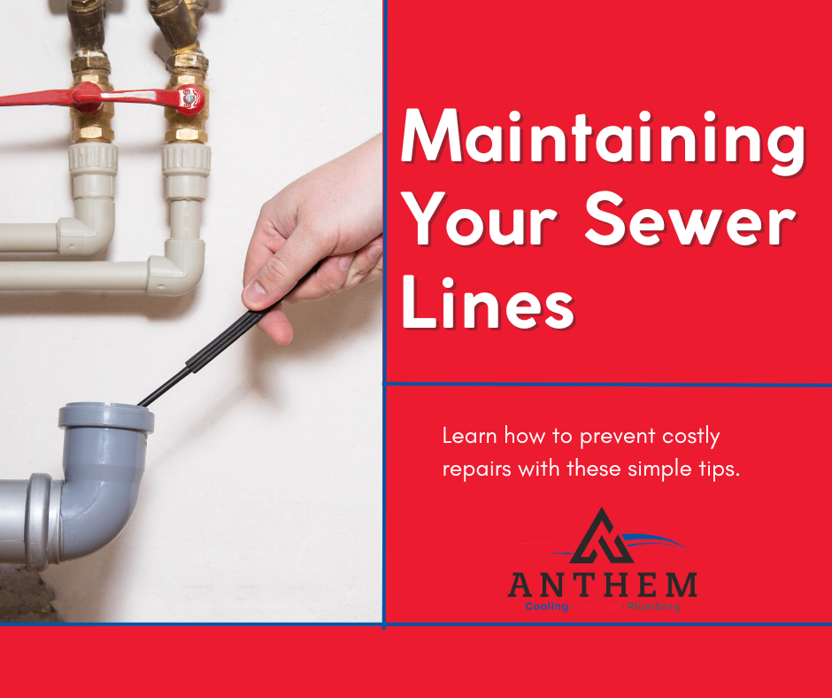 Maintaining Your Sewer Lines